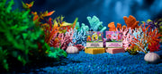 SpongeBob 4-Pack D9