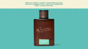 Castaway Cove Cologne V4