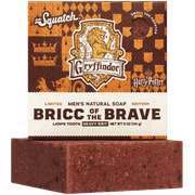 Bricc of the Brave F3