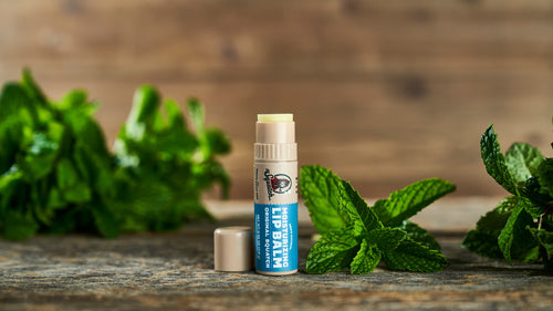 Lifestyle photo featuring Dr. Squatch 4 Pack Original Squatch gift set