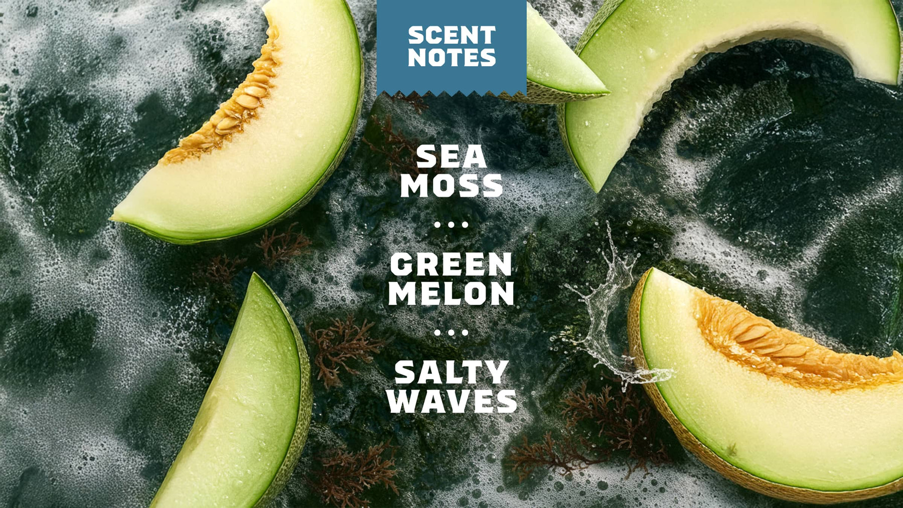 Coastal Mist Hand Soap W5