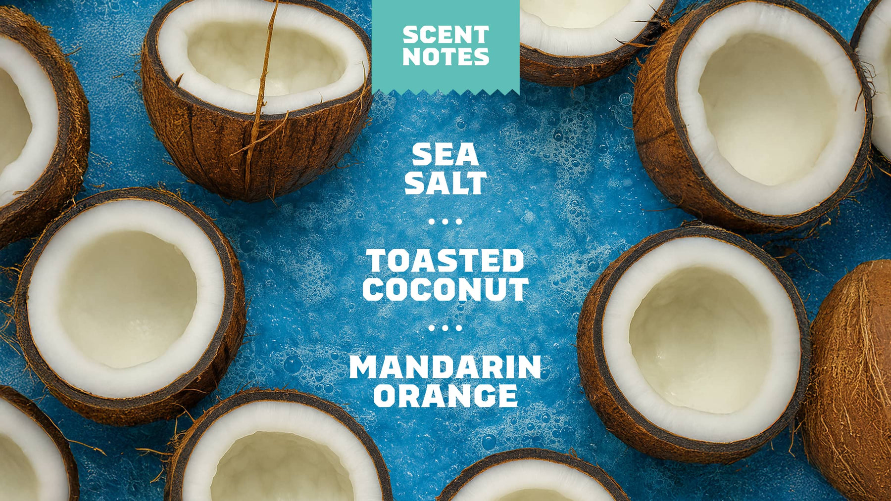 Coconut Castaway Lotion X5