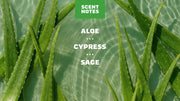 Cool Fresh Aloe Conditioner X7