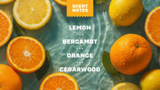 Summer Citrus Hand Soap W0