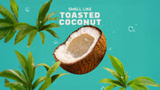Coconut Castaway Hand Soap L0
