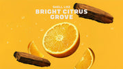 Summer Citrus Hand Soap W0