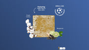 FIFA Golden Glory 3-Pack Bar Soap Bundle X9